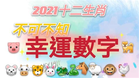 屬鼠幸運顏色|2025年屬鼠的幸運色是什麼？